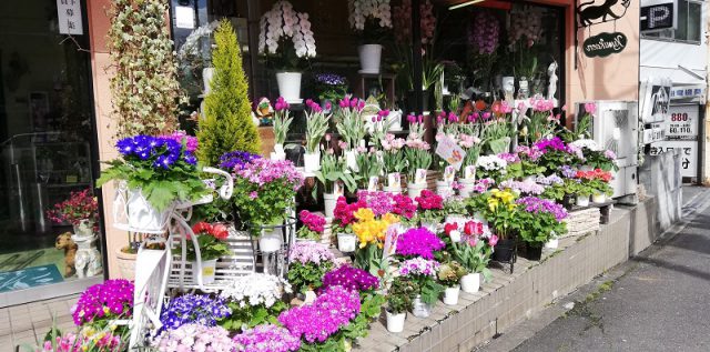 金閣寺に近い京都市北区のお花屋さん『京花園』