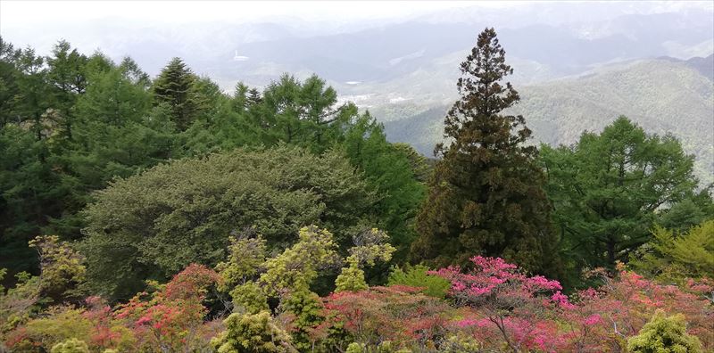 比叡山山頂から少し戻り延暦寺に向かう途中、休憩所から京都方面を